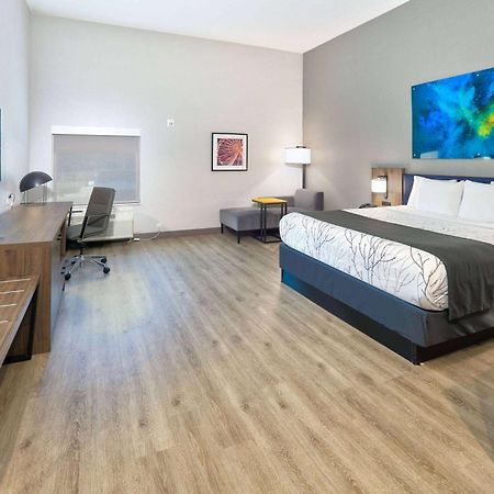 La Quinta Inn & Suites By Wyndham Dallas/Fairpark Exteriör bild